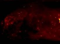 Nasas X-ray telescopes take you to the centre of the Milky Way in this 360 degree movie
