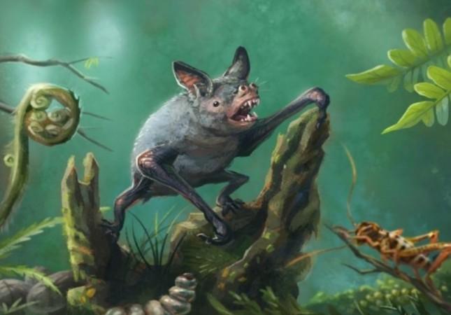 Artist's impression of a New Zealand burrowing bat, Mystacina robusta, that became extinct last century. Illustration: Gavin Mouldey. Giant bat