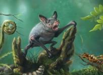 Giant bat