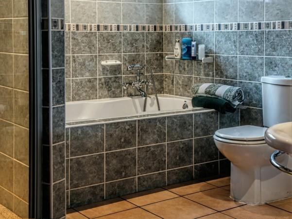 Representational picture toilet