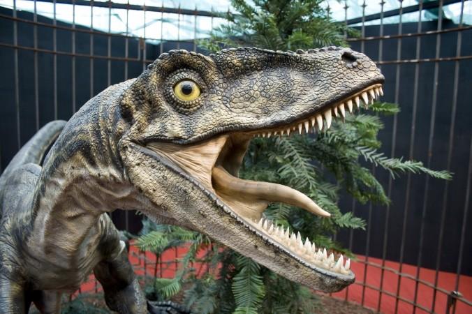Representational image. dino