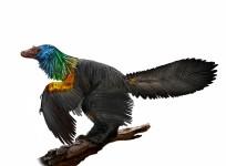 caihong juji