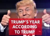 Trumps year according to Trump
