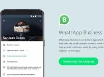 WhatsApp Business, logo,Google Play store, Android app