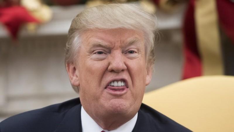 Donald Trumps funny first year as president