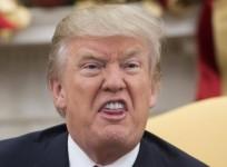 Donald Trumps funny first year as president