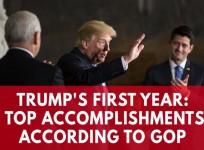 Donald Trumps top accomplishments in his first year as president
