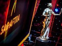 Screen Actors Guild Awards
