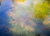 Water way