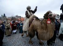 King Abdulaziz Camel Festival