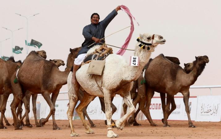 A man cheers as he rides a camel during King Abdulaziz Camel Festival in Rimah Governorate, north-east of Riyadh, Saudi Arabia January 19, 2018. Picture taken January 19, 2018. King Abdulaziz Camel Festival