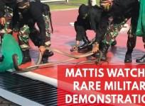 James Mattis watches Indonesian forces drink snake blood, walk on fire and break bricks