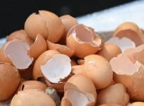 Woman calls 999 over cracked eggs