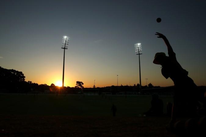 Representational image cricket