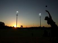 cricket