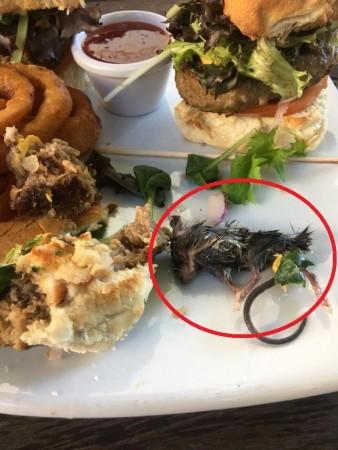 Peta Blackburn, Bruce's partner, posted on Facebook, a photo of the actual mouse that Bruce had found inside his patty. mouse found in burger