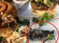 mouse found in burger