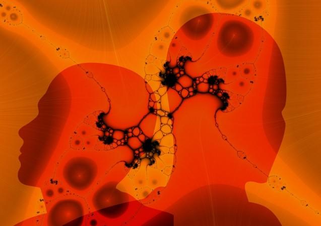 Brain circuits that help us learn language predate humans, study reveals. Brain circuits