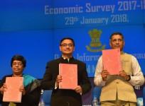 Chief Economic Adviser Arvind Subramanian