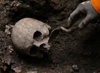 skeleton