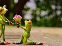 Representational Image