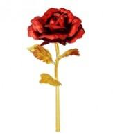 Gold-plated red rose