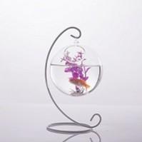 Ball Glass Terrarium Container