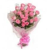 Pink roses