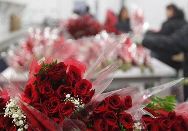 Different rose colours for Valentine's Day