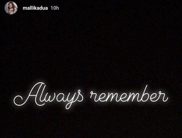 A screenshot from Mallika Dua's Instagram story Mallika Dua
