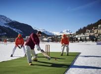 ice cricket
