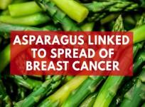 Asparagus linked to spread of breast cancer