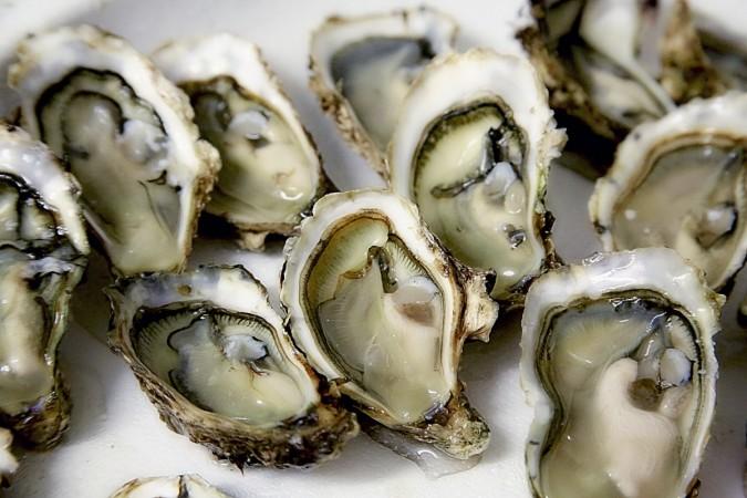 Representational image. oysters