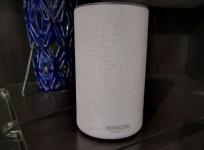 Amazon Echo, Alexa, smart speaker, India, review