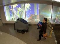 Police search for woman who abandoned newborn baby at airport
