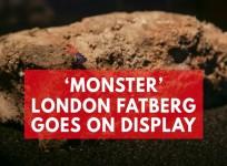 Monster fatberg goes on display in London