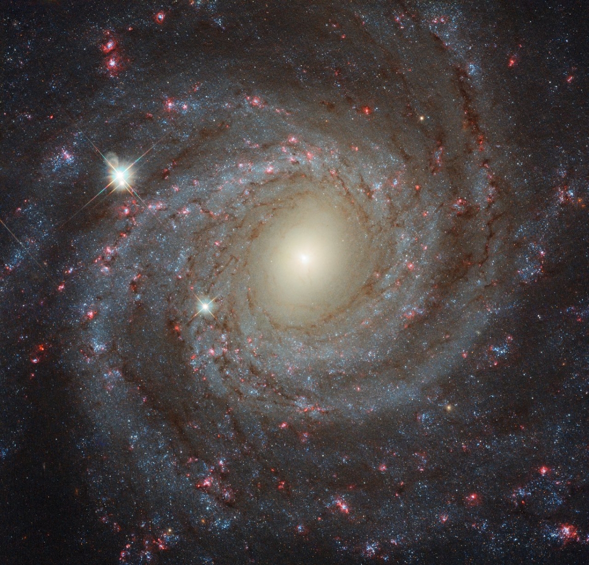 Hubble Captures Gorgeous Rose-Colored Galaxy Thats 