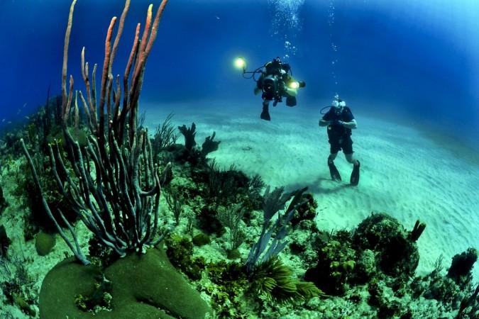 Representational image. underwater