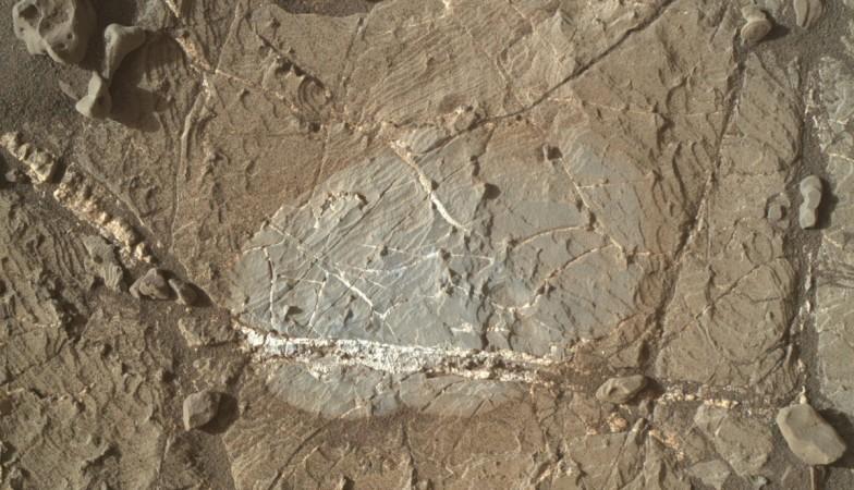 A mineral vein with bright and dark portions distinguishes this Martian rock target, called crystal-shaped features on Mars