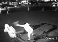 Bungling would-be Shanghai burglar hits partner in head with brick