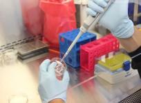 Laboratory