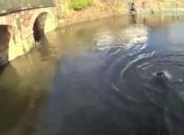 Watch student police officer jump into freezing water to save a man