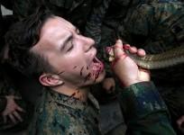 US marine drinking snake blood
