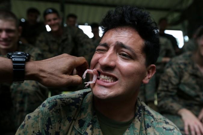 A U.S. Marine eats a geko during a jungle survival exercise as part of the US marines