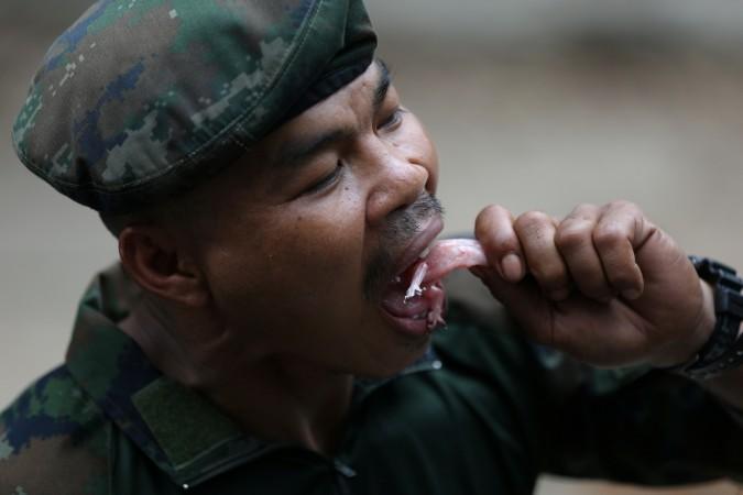 Thai Navy instructor eats a geko during a jungle survival exercise as part of the Us marines
