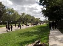 Hundreds of Florida students stage walkout in protest at gun laws