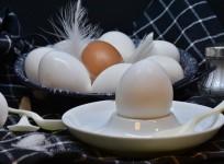 Eggs