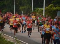 Cross-country race