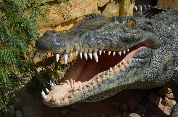 Representational image.