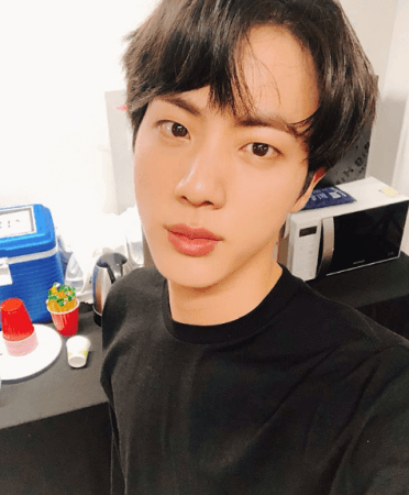 BTS member Jin BTS member Jin